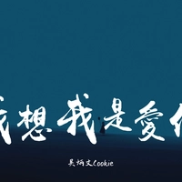 吴炳文Cookie