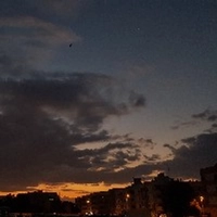 MEQOFsGv5PBaDqX9.webp