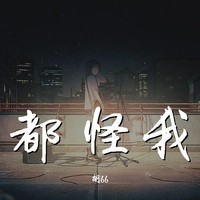 胡66