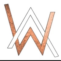 Alan Walker 