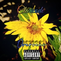 Claricode 